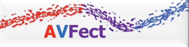 www.avfect.com